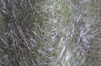 Water Fryston fibreglass roof work